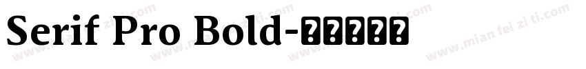 Serif Pro Bold字体转换